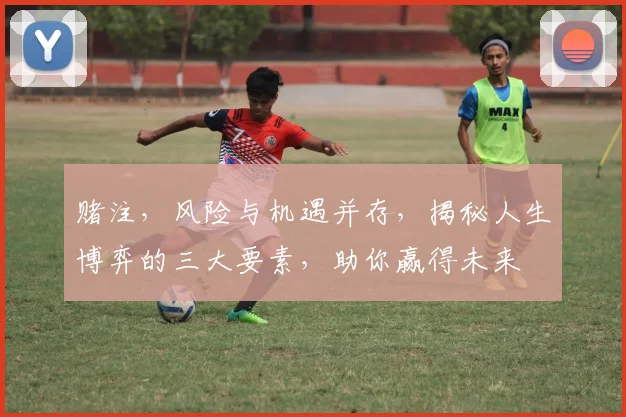 赌注，风险与机遇并存，揭秘人生博弈的三大要素，助你赢得未来