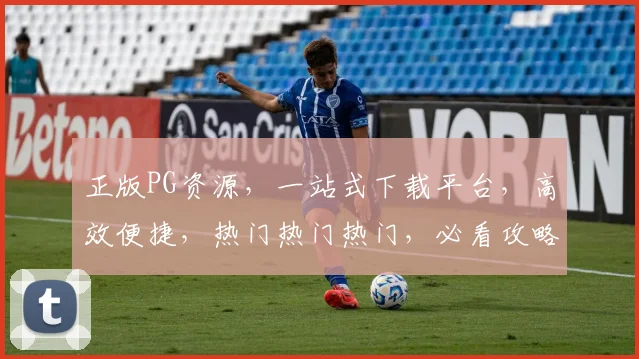正版PG资源，一站式下载平台，高效便捷，热门热门热门，必看攻略