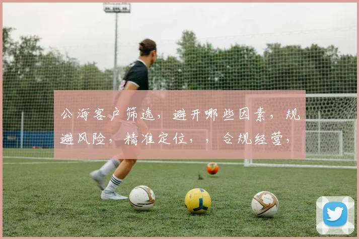 公海客户筛选，避开哪些因素，规避风险，精准定位，，合规经营，，提升效益，